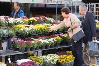 Zagreb: Bogata ponuda raznog cvijeća na Opatovini uoči blagdana Svih svetih