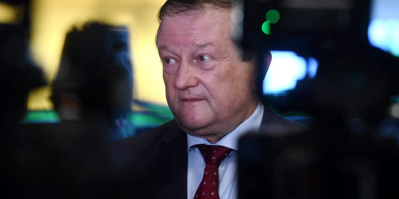 damir boras
