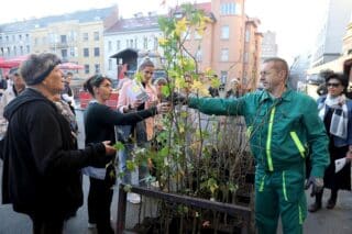 Zagreb: Građanima na Dolcu podijeljena stabla u sklopu akcije “Zasadi drvo, ne budi panj”