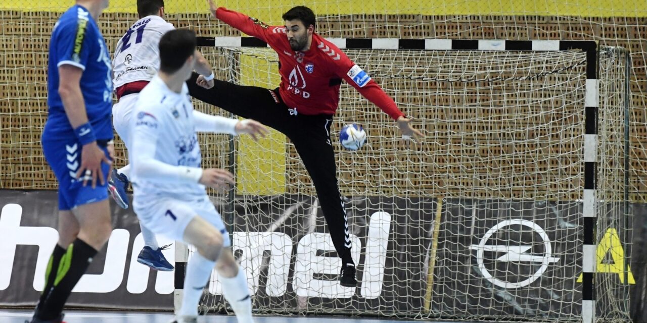 seha liga