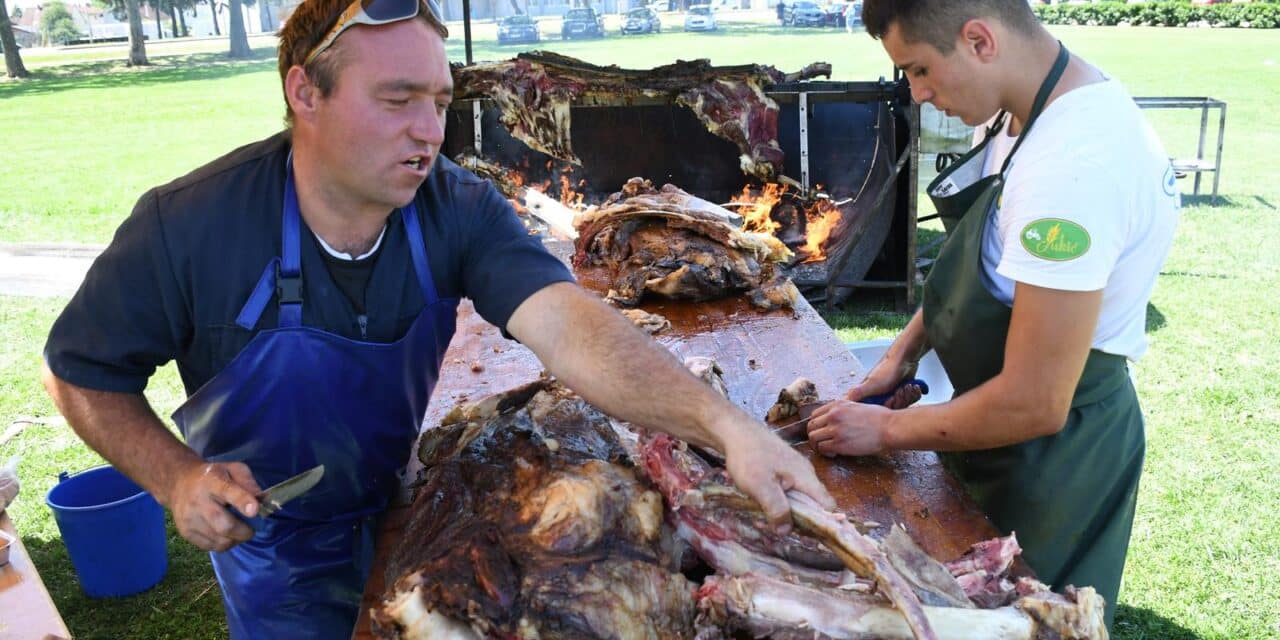 Đurđevac: Na vol gastru posjetitelji Picokijade mogli su kušati vola s ražnja od 540 kilograma