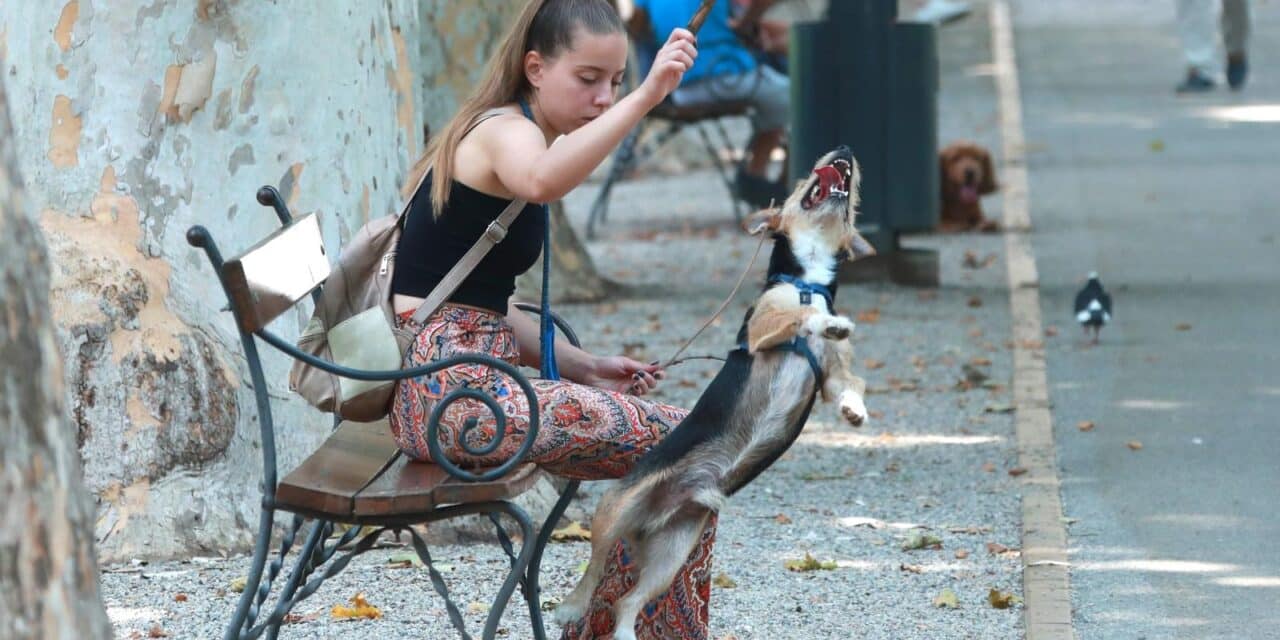 Zagreb: Igra sa psom na Zrinjevcu