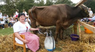 Zagreb: Na Bundeku održan 20. svjetski dan školskog mlijeka