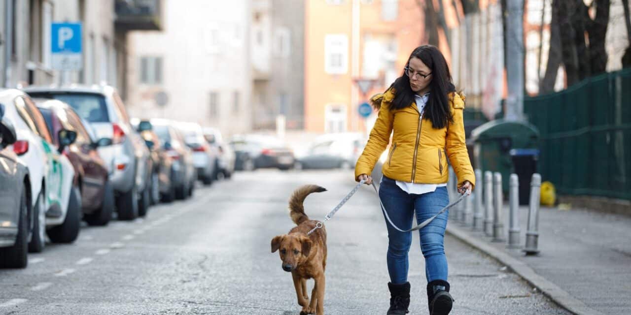 Zagreb: Psihoterapeutkinja u edukaciji i socijalizatorica životinja Ivana Kasalo i pas Sirius