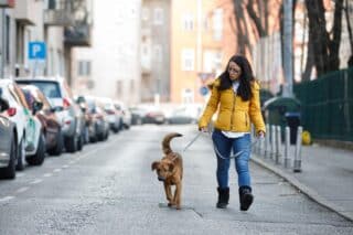 Zagreb: Psihoterapeutkinja u edukaciji i socijalizatorica životinja Ivana Kasalo i pas Sirius