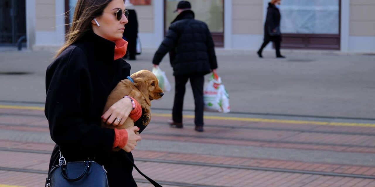 Gradska svakodnevica u Zagrebu