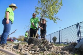 Zagreb: Udruga Zelene i plave Sesvete organizirala akciju sadnje stabala