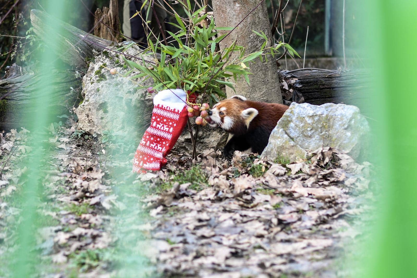 zoo vrt zagreb