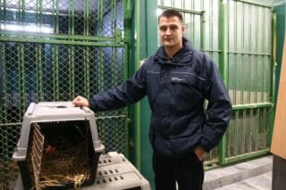 Vozač ZET-ovog autobusa  Dario Buzjak spasio sovu slomljenog krila