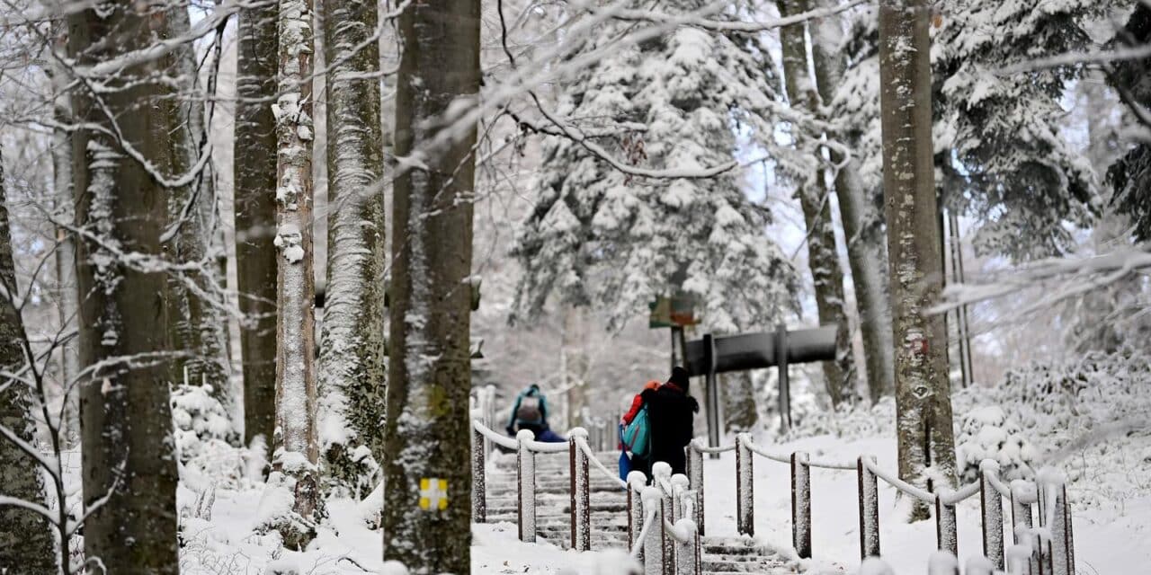 Medvednica prekrivena snijegom