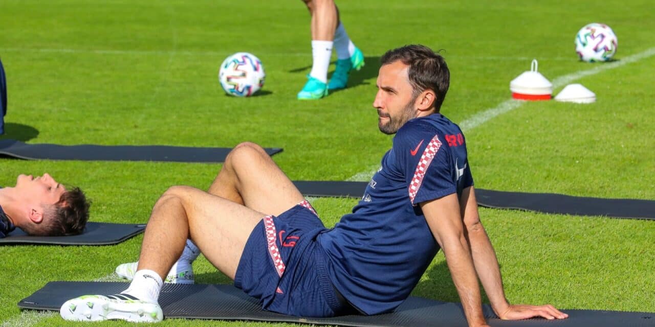milan badelj