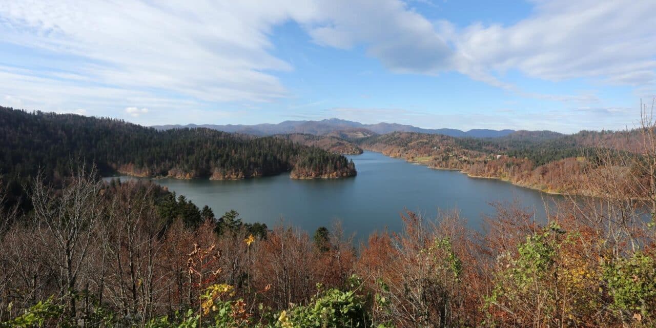 np risnjak