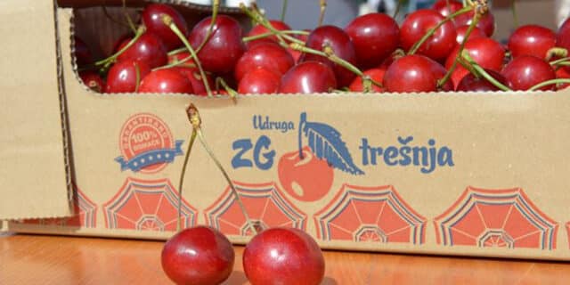 TRESNJE 2019 (6)
