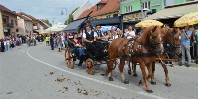 Vozočašće Zagorje international 9.jpg_photogallery_normal