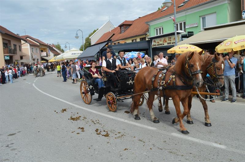 Vozočašće Zagorje international 9.jpg_photogallery_normal