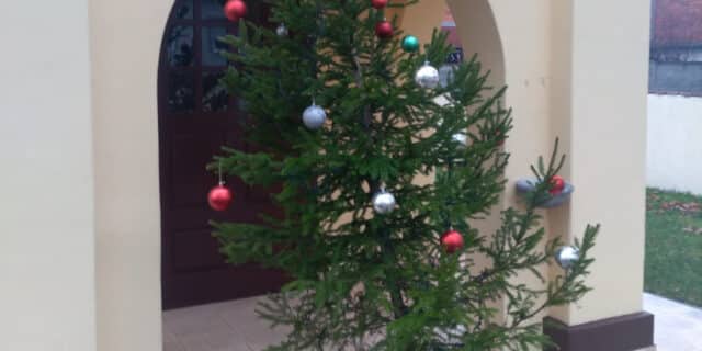 WhatsApp Image 2019-12-21 at 10.31.09 (1)