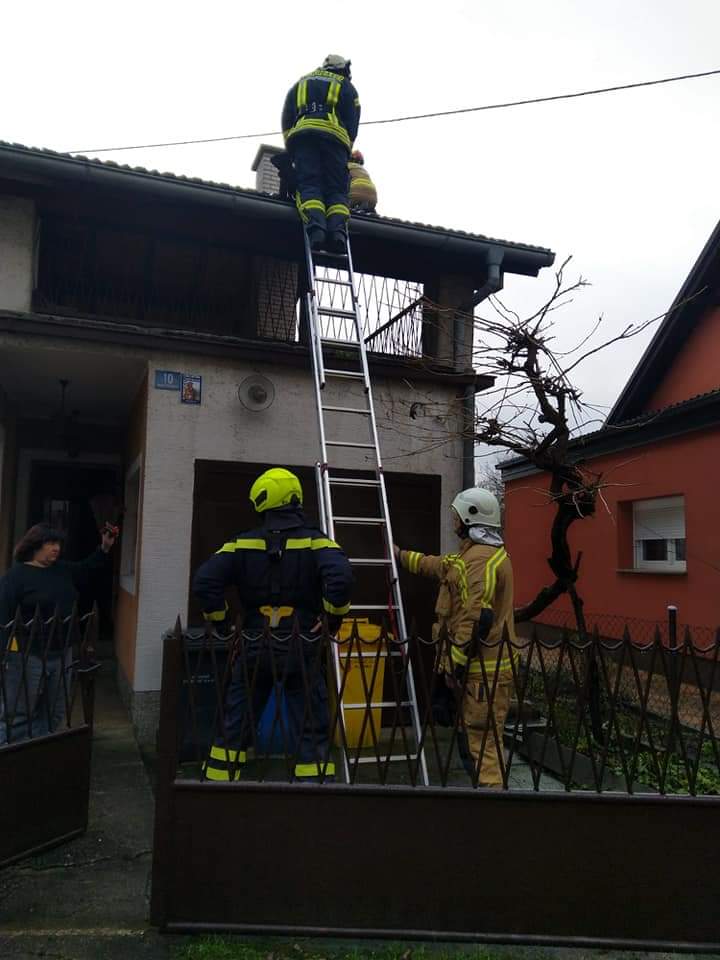 WhatsApp Image 2021-01-17 at 12.07.46 (4)