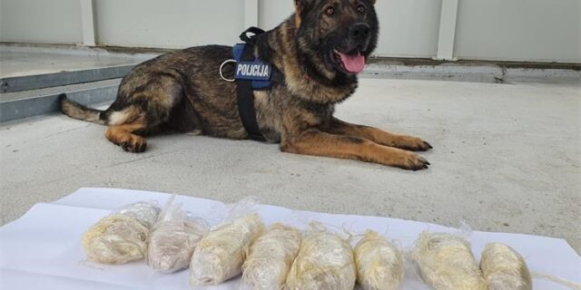 Wolf i kilogram heroina