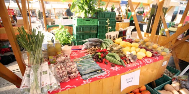 Zegevege-2018-1