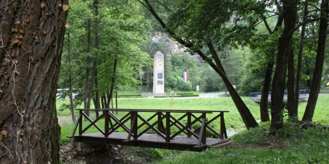 Zelenjak1
