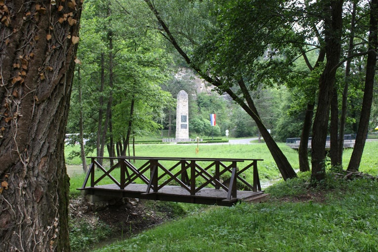 Zelenjak1