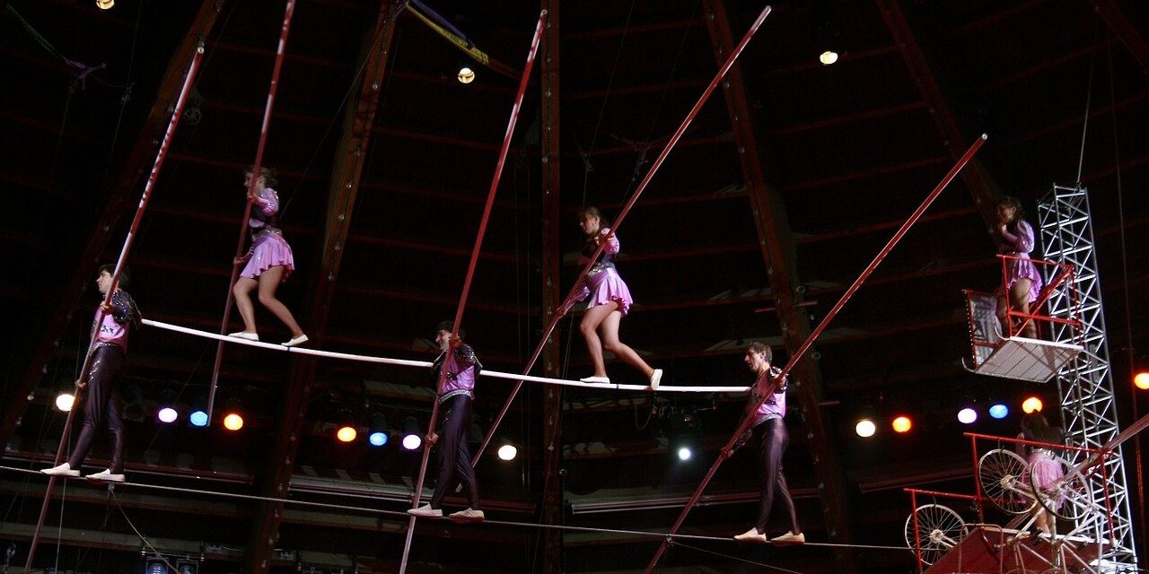 cirkus