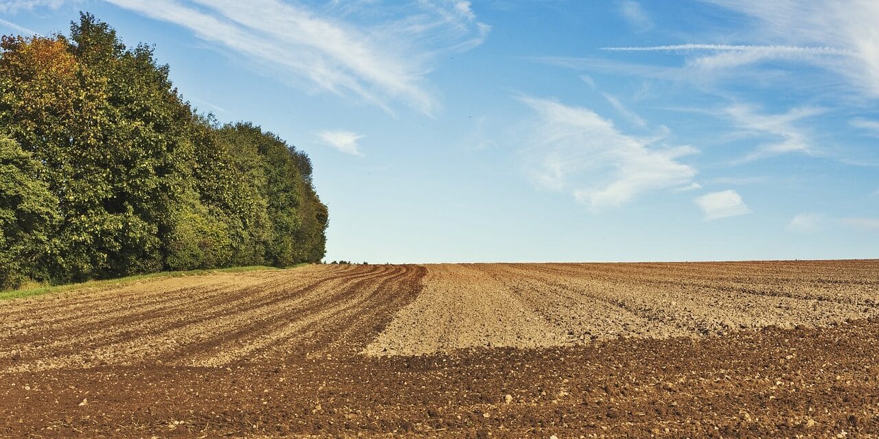 arable-1918990_1280