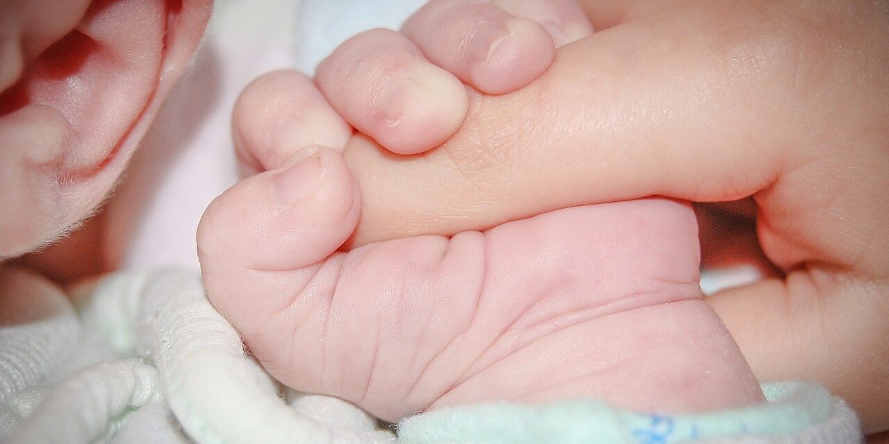 baby-428395_1280
