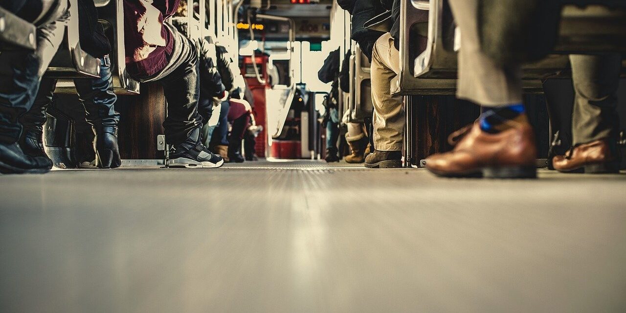 bus