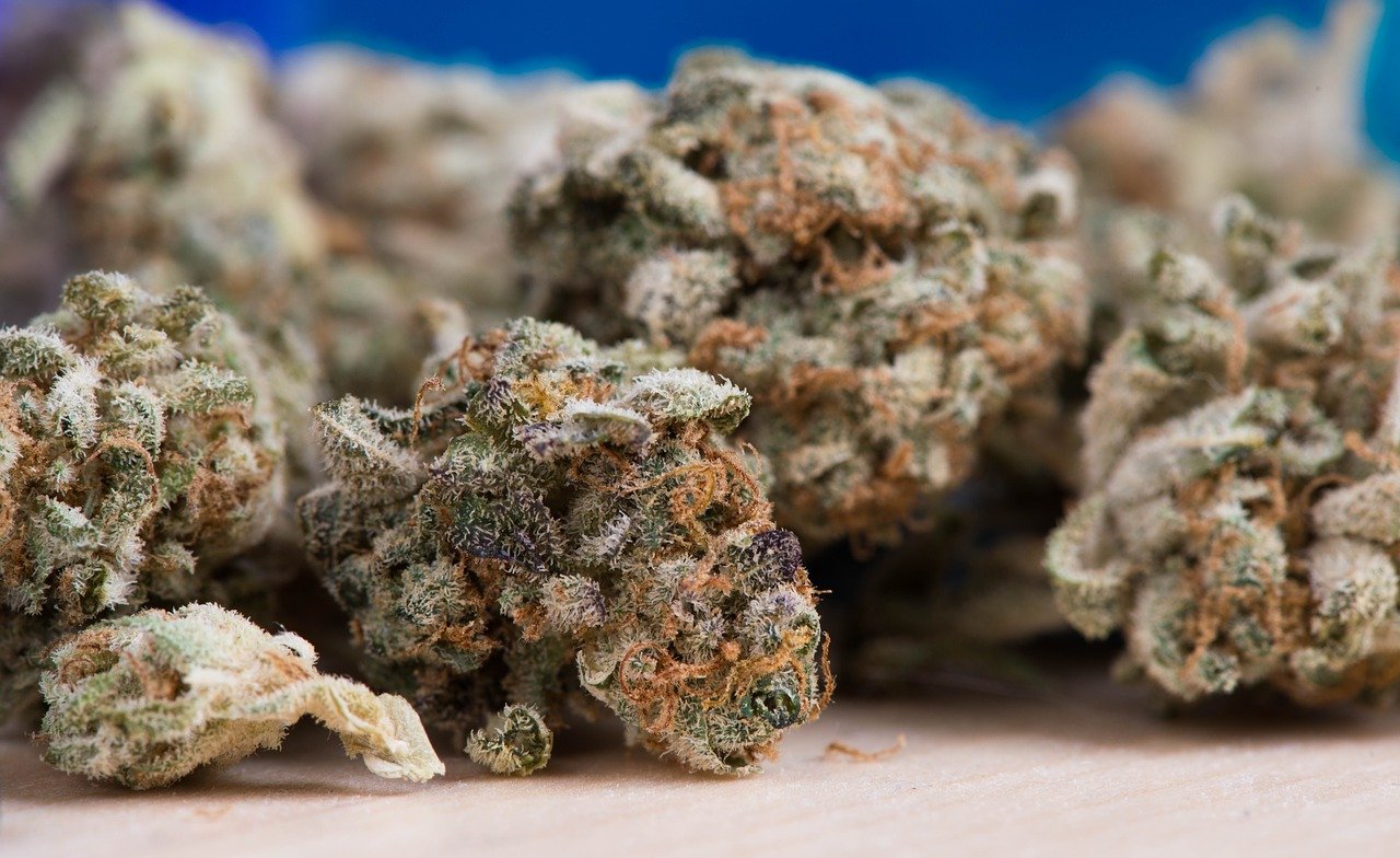 cannabis-2150543_1280