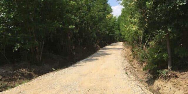 cesta