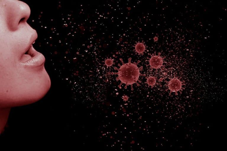 coronavirus-4952102_1280-768×512-1