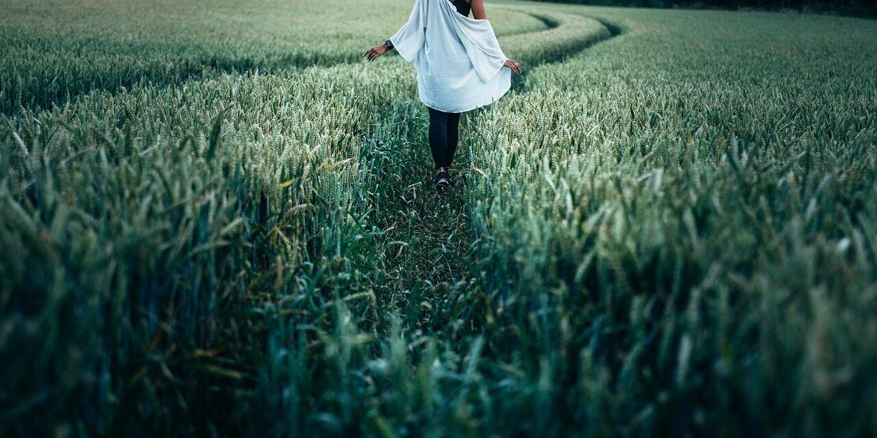 countryside-1845693_1280