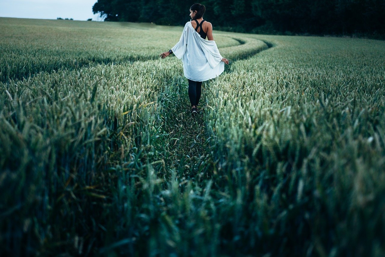countryside-1845693_1280