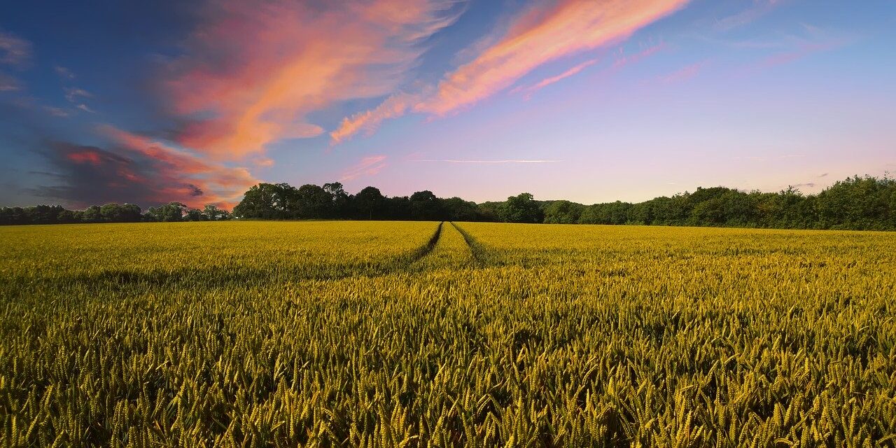 countryside-2326787_1280