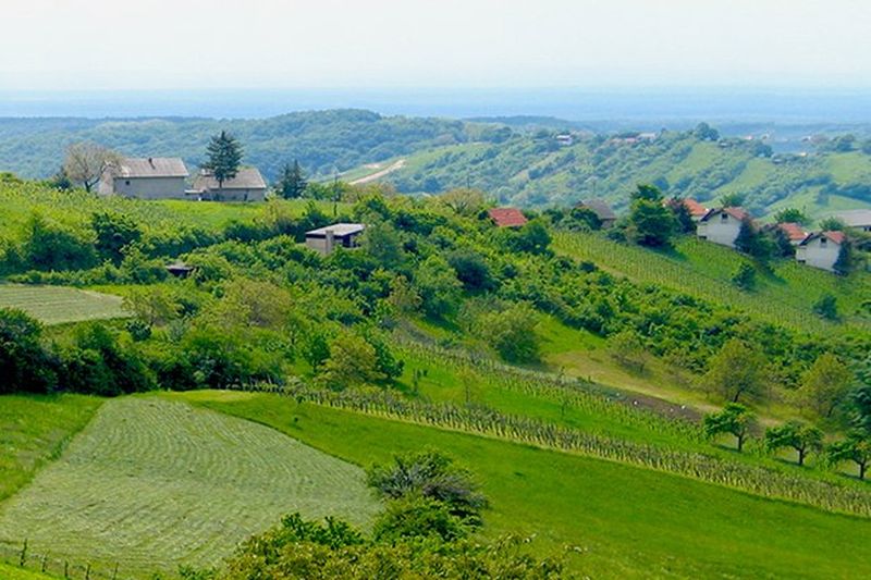 dan zagrebačke županije