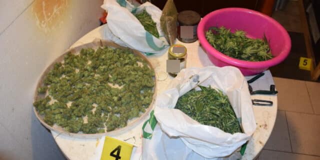 droga stupnik
