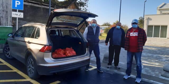 dubrava mandarine