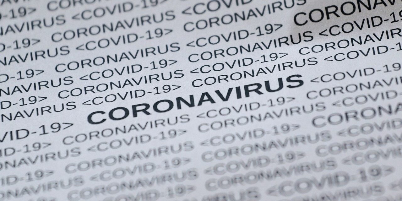 feline-corona-virus-5033326_1280