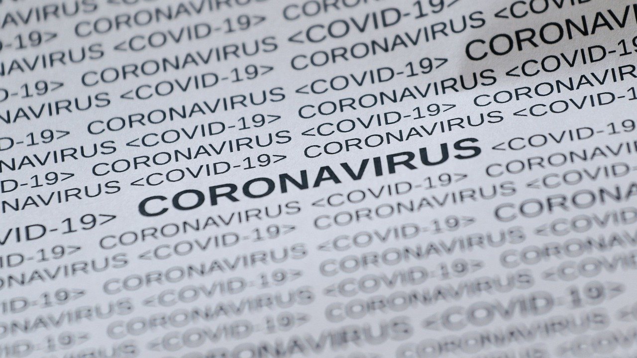 feline-corona-virus-5033326_1280