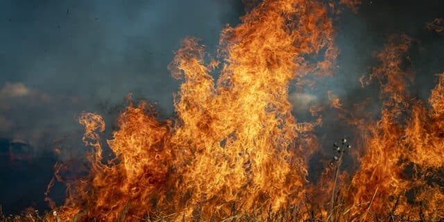 fire-6706673_960_720