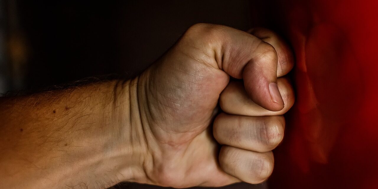 fist-1561157_1280