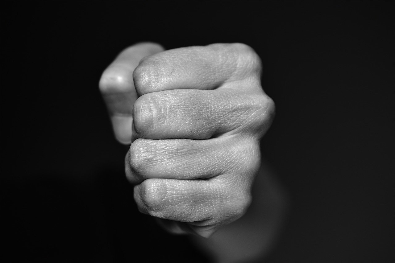 fist-4117726_1280