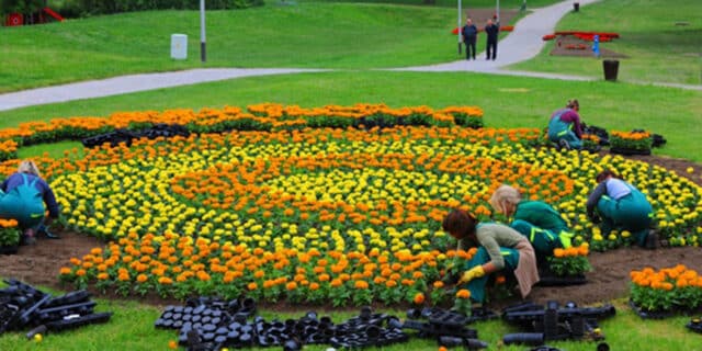 floraart