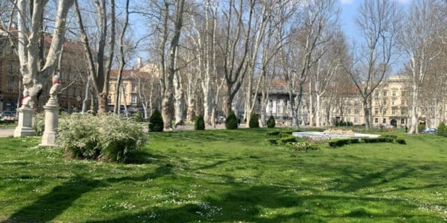 fotka 1