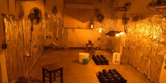 foto-6