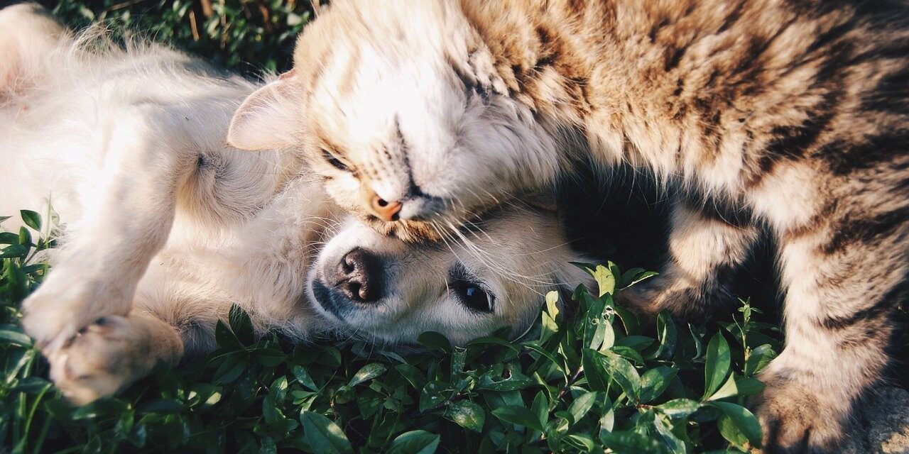 friends-1149841_1280