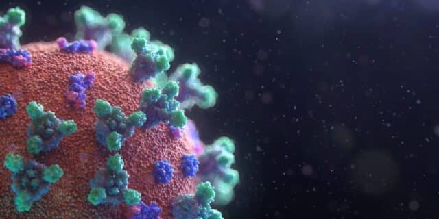 fusion-medical-animation-EAgGqOiDDMg-unsplash-768×432-1