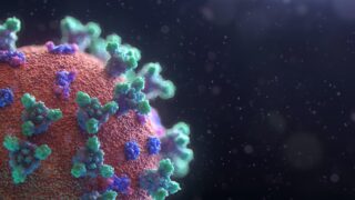 fusion-medical-animation-EAgGqOiDDMg-unsplash-scaled