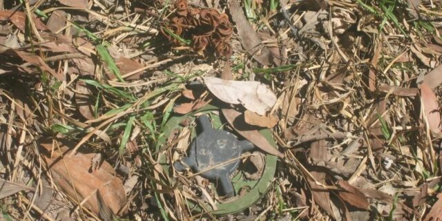 glowing-bacteria-can-help-locate-devastating-hidden-land-mines.w1456